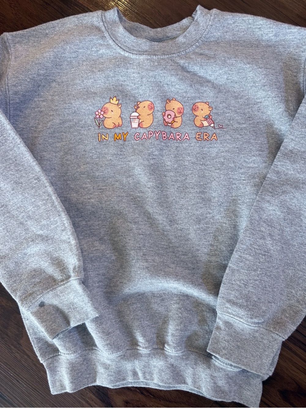 Capybara Sweatshirt